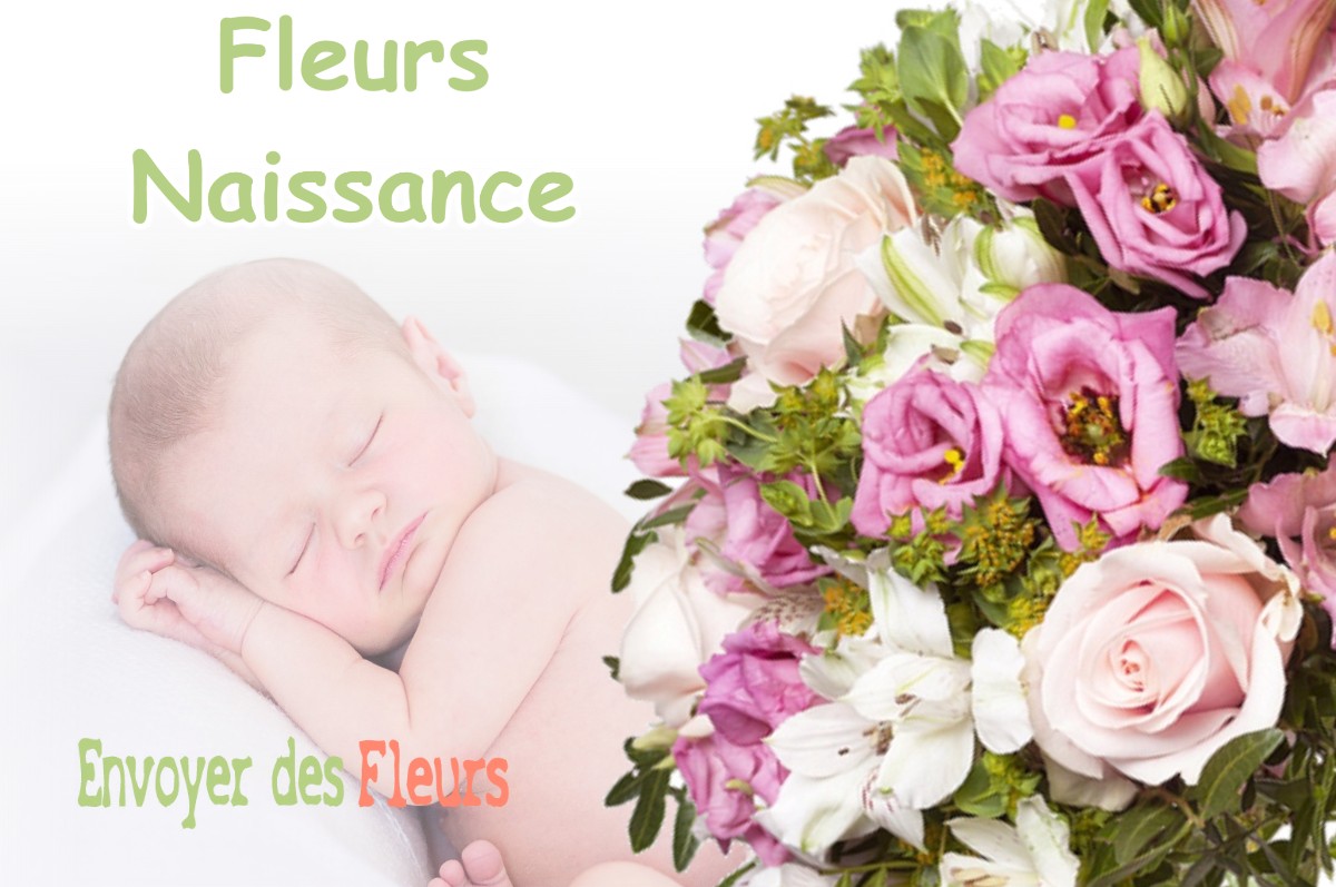 lIVRAISON FLEURS NAISSANCE à GOUTS